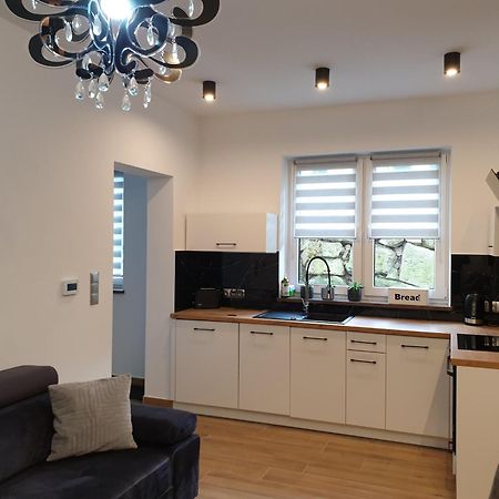 Villa Mila Apartamenty 卡尔帕奇 外观 照片