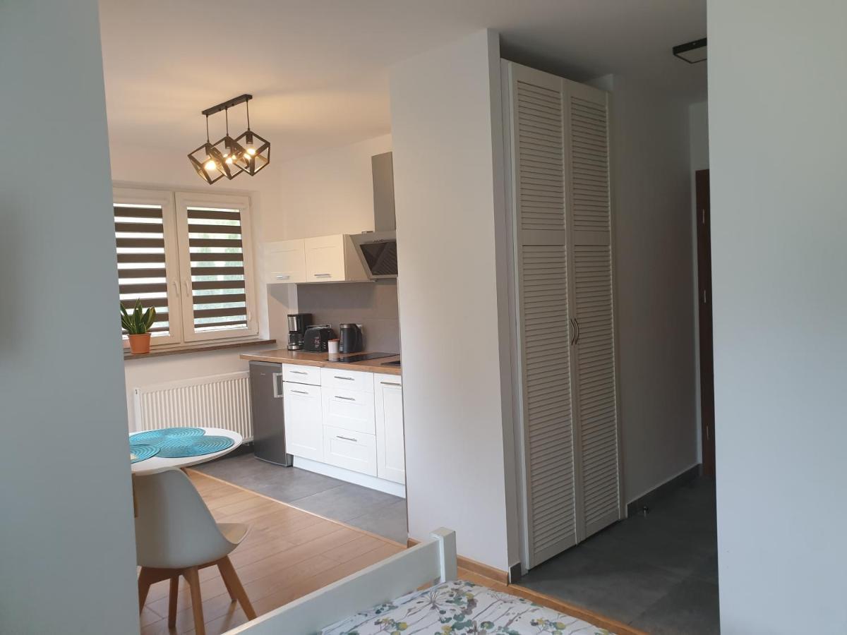Villa Mila Apartamenty 卡尔帕奇 外观 照片