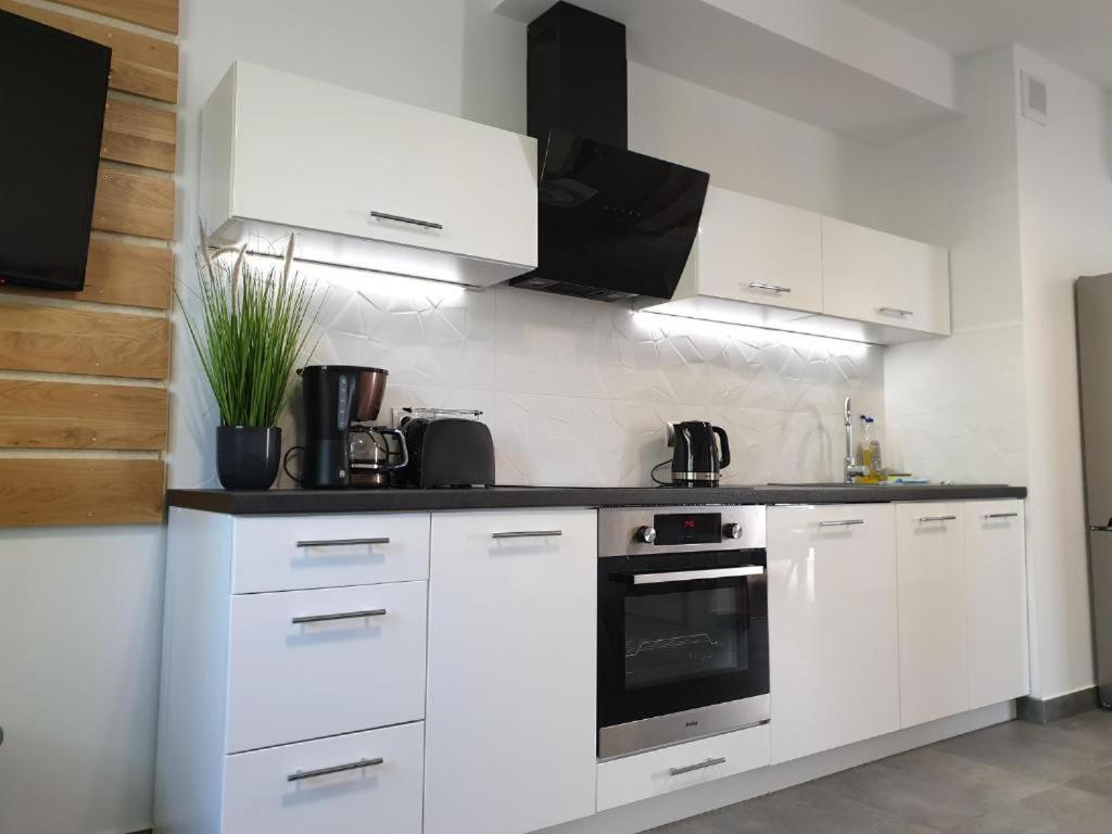 Villa Mila Apartamenty 卡尔帕奇 外观 照片
